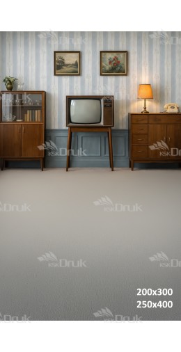 Tło fotograficzne „Retro salon w odcieniach błękitu z klasycznym telewizorem” | 3828